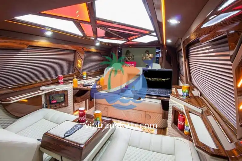 Economic Vip Minivan