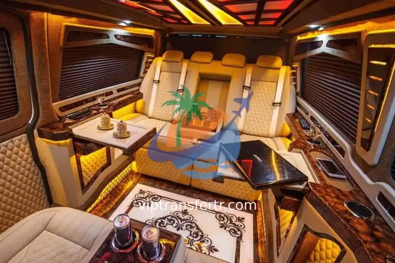 Economic Vip Minivan