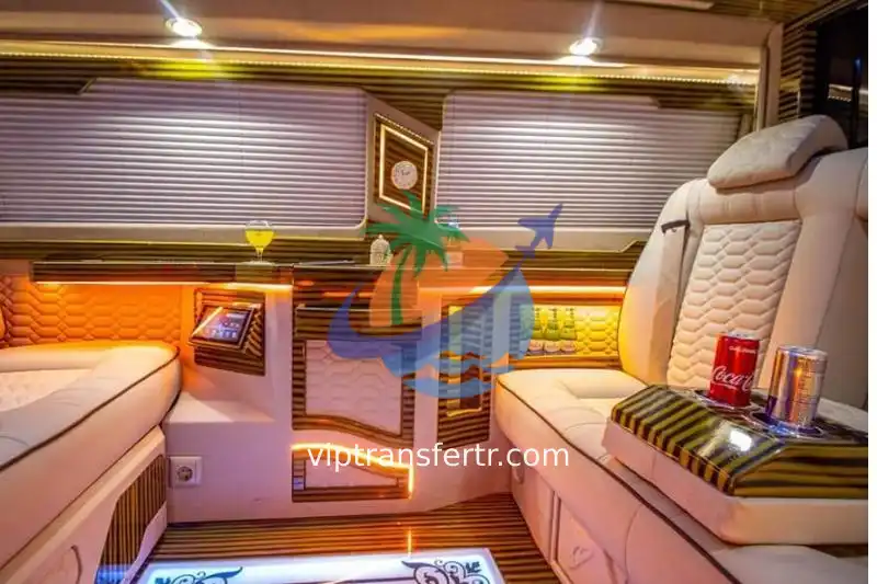 Economic Vip Minivan